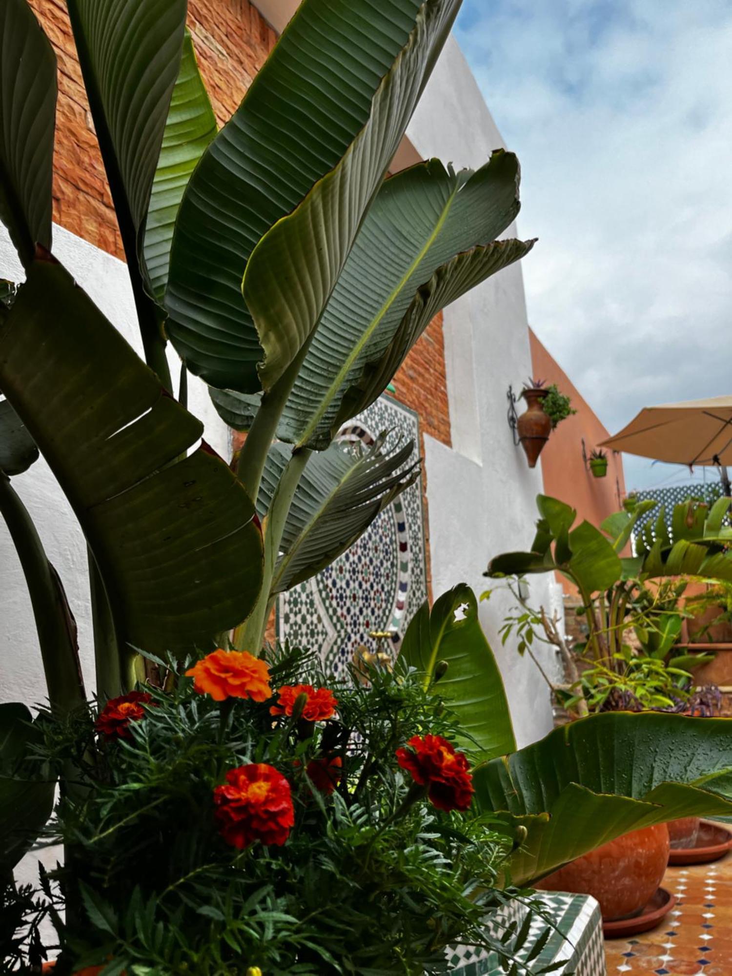 Casa Indigo Hotel Rabat Eksteriør billede